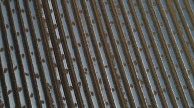 Plastik film kaplı patates ekildi. Güzel bir tarla, Kuzey Çin.