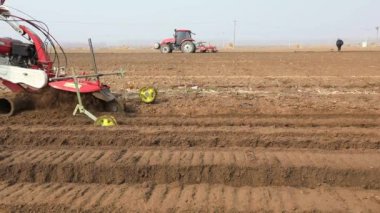  Çiftçiler hendek kazmak için hendek kazıyorlar Kuzey Çin 'de bir çiftliğe zencefil ekiyorlar