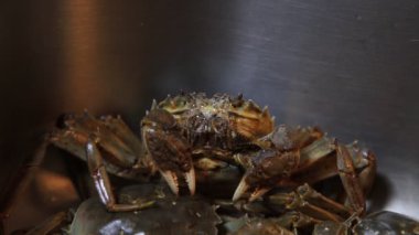 Taze nehir yengeçleri mutfakta.