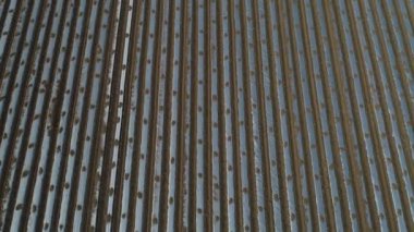 Plastik film kaplı patates ekildi. Güzel bir tarla, Kuzey Çin.