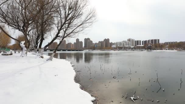 Paysage Neige Ville Riveraine Chine Nord — Video