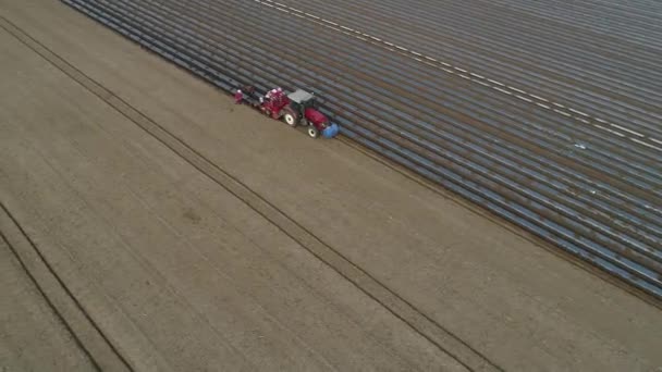 Farmáři Řídí Semenáře Aby Zasadil Brambory Farmě Letecké Video — Stock video