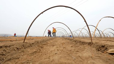 LUANNAN COUNTY, Hebei Eyaleti, Çin - 26 Mart 2021: çiftçiler tarlalarına kızıl seralar kurdular