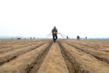 LUANNAN COUNTY, Hebei Eyaleti, Çin - 27 Mart 2021: çiftçiler tarlalarına kızıl seralar kurdular