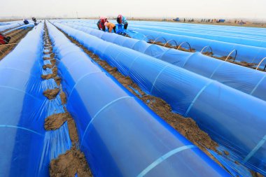 LUANNAN COUNTY, Hebei Eyaleti, Çin - 27 Mart 2021: çiftçiler tarlalarına kızıl seralar kurdular