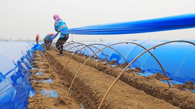 LUANNAN COUNTY, Hebei Eyaleti, Çin - 27 Mart 2021: çiftçiler tarlalarına kızıl seralar kurdular