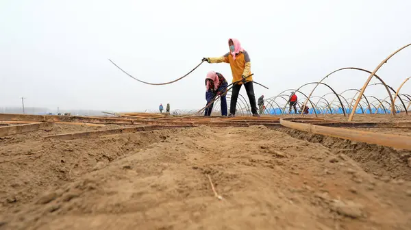Luannan County Provincia Hebei China Marzo 2021 Los Agricultores Instalan — Foto de Stock