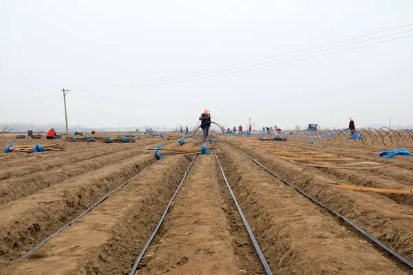 Luannan County Provincia Hebei China Marzo 2021 Los Agricultores Instalan — Foto de Stock