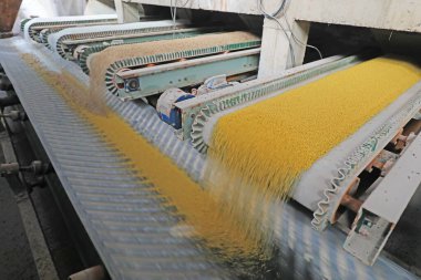 Kuzey Çin 'deki üretim hattında bileşik gübre.