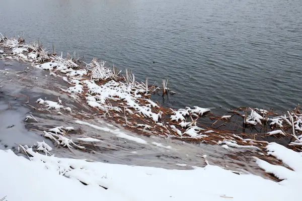 Weeds near the water are covered with snow, North China