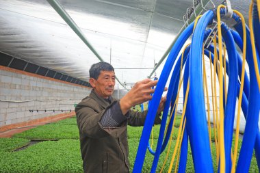 LUANNAN COUNTY, Hebei Eyaleti, Çin - 2 Mart 2021: Çiftçiler çocuk odasındaki akıllı spreyleme ekipmanlarının boru hattını ayarlıyorlar