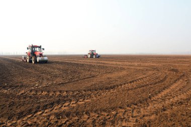 Çiftçiler ekicileri uzak diyarlarda bezelye yetiştirmek için sürüyorlar.