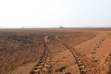 Çiftçiler ekicileri uzak diyarlarda bezelye yetiştirmek için sürüyorlar.