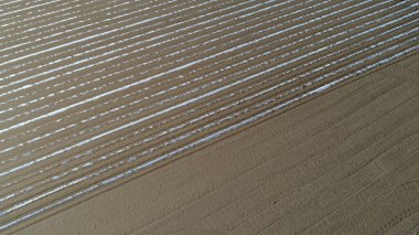 Kuzey Çin 'de plastik film kaplı bir patates.