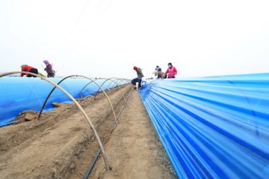 LUANNAN COUNTY, Hebei Eyaleti, Çin - 26 Mart 2021: çiftçiler tarlalarına kızıl seralar kurdular
