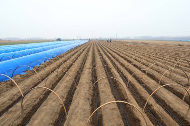 LUANNAN COUNTY, Hebei Eyaleti, Çin - 26 Mart 2021: çiftçiler tarlalarına kızıl seralar kurdular