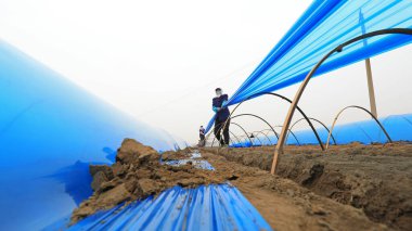 LUANNAN COUNTY, Hebei Eyaleti, Çin - 27 Mart 2021: çiftçiler tarlalarına kızıl seralar kurdular