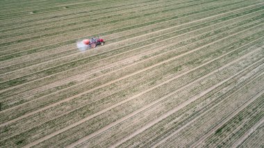 Çiftçiler Kuzey Çin 'deki tarlalarda buğday gübrelemek için traktör kullanıyorlar.