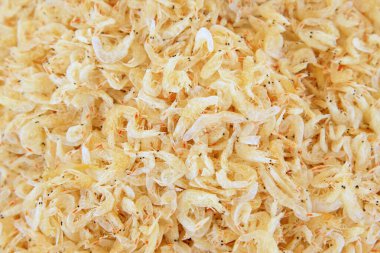 Deniz ürünleri - kril, fotoğraf yakın plan