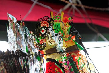 Çin gölgesi parlak ışıkta sahne alır, fotoğrafa yakın çekim yapar.