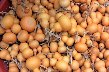 Küçük su kabakları yığınları, fotoğrafların yakın çekimi.