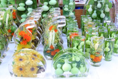 Cam kaplamalı bitki, yakın plan fotoğraf.