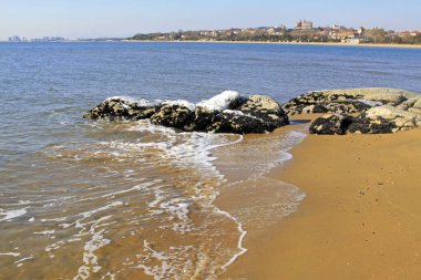 Kum resifi ve deniz vahşi doğada