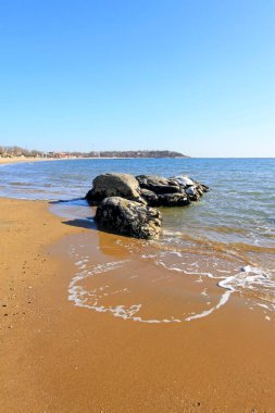 Kum resifi ve deniz vahşi doğada