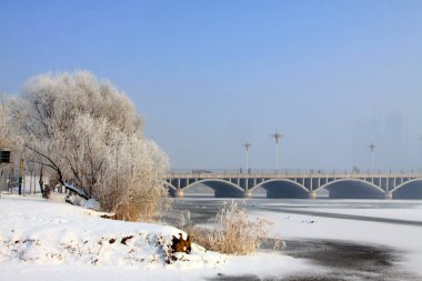 Köprü ve ağaçlar karlar altında, şehir manzarası