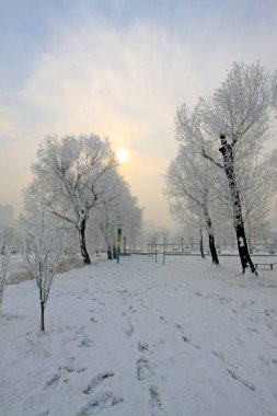 Parkta romantik bir manzara, fotoğrafa yakın çekim.