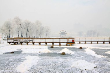 Bir parkta karla kaplı manzara, fotoğrafa yakın çekim.
