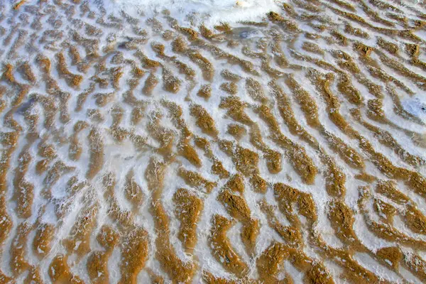 Buz ve kar doğal deniz manzarası, fotoğrafa yakın.