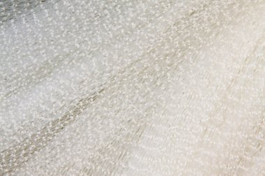 Beyaz naylon balık ağları, yakın plan fotoğraf.