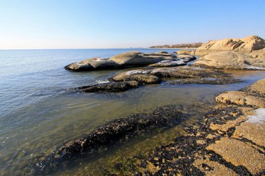 Mavi gökyüzünün altındaki deniz resifleri, fotoğrafın yakın çekimi