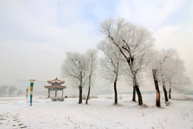 Parkta romantik bir manzara, fotoğrafa yakın çekim.