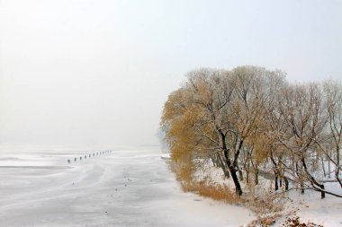 Bir parkta karla kaplı manzara, fotoğrafa yakın çekim.