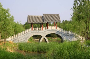 Botanik bahçesinde taş kemer köprüsü, fotoğrafa yakın çekim.