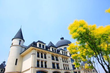 Bir parkta Avrupa peyzaj mimarisi