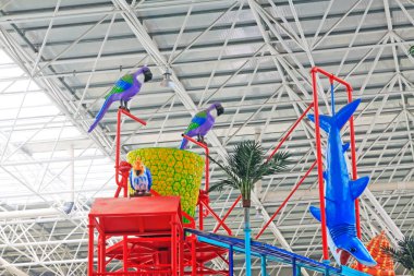 Tsunami dalgaları havuz ekipmanları