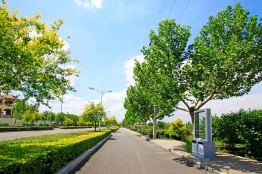 Çin kentsel yol manzarası