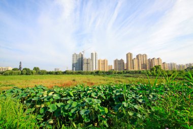 Rıhtım kenti manzarası, Çin