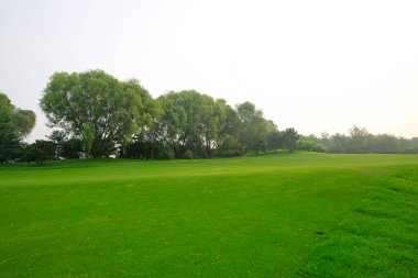 Golf sahası, fotoğrafa yakın çekim