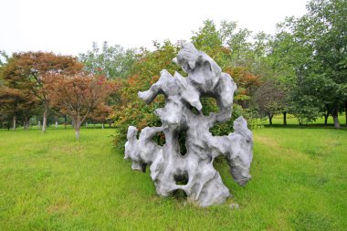 Kaya oymacılığı çimenlikte işe yarar, fotoğrafa yakın çekim.