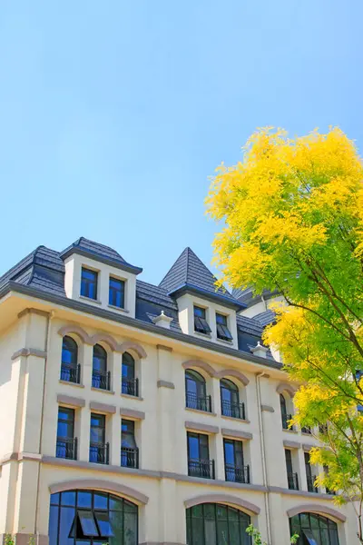 Bir parkta Avrupa peyzaj mimarisi