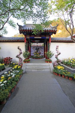 Antik avlu fotoğrafı yakın çekim