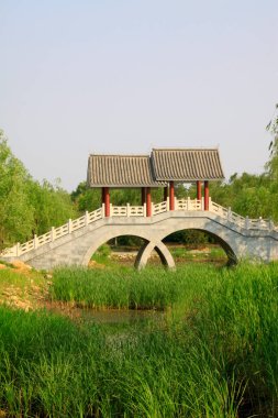 Botanik bahçesinde taş kemer köprüsü, fotoğrafa yakın çekim.