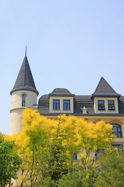 Bir parkta Avrupa peyzaj mimarisi