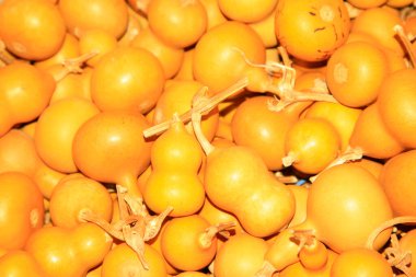 Fotoğrafın cep kabağı görüntüsü