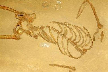 Luannan İlçesi - 2 Temmuz 2015 'te Pandai köyü katliamı anıtında, Luannan İlçesi, Hebei Bölgesi, Chin