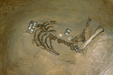 Luannan İlçesi - 2 Temmuz 2015 'te Pandai köyü katliamı anıtında, Luannan İlçesi, Hebei Bölgesi, Chin
